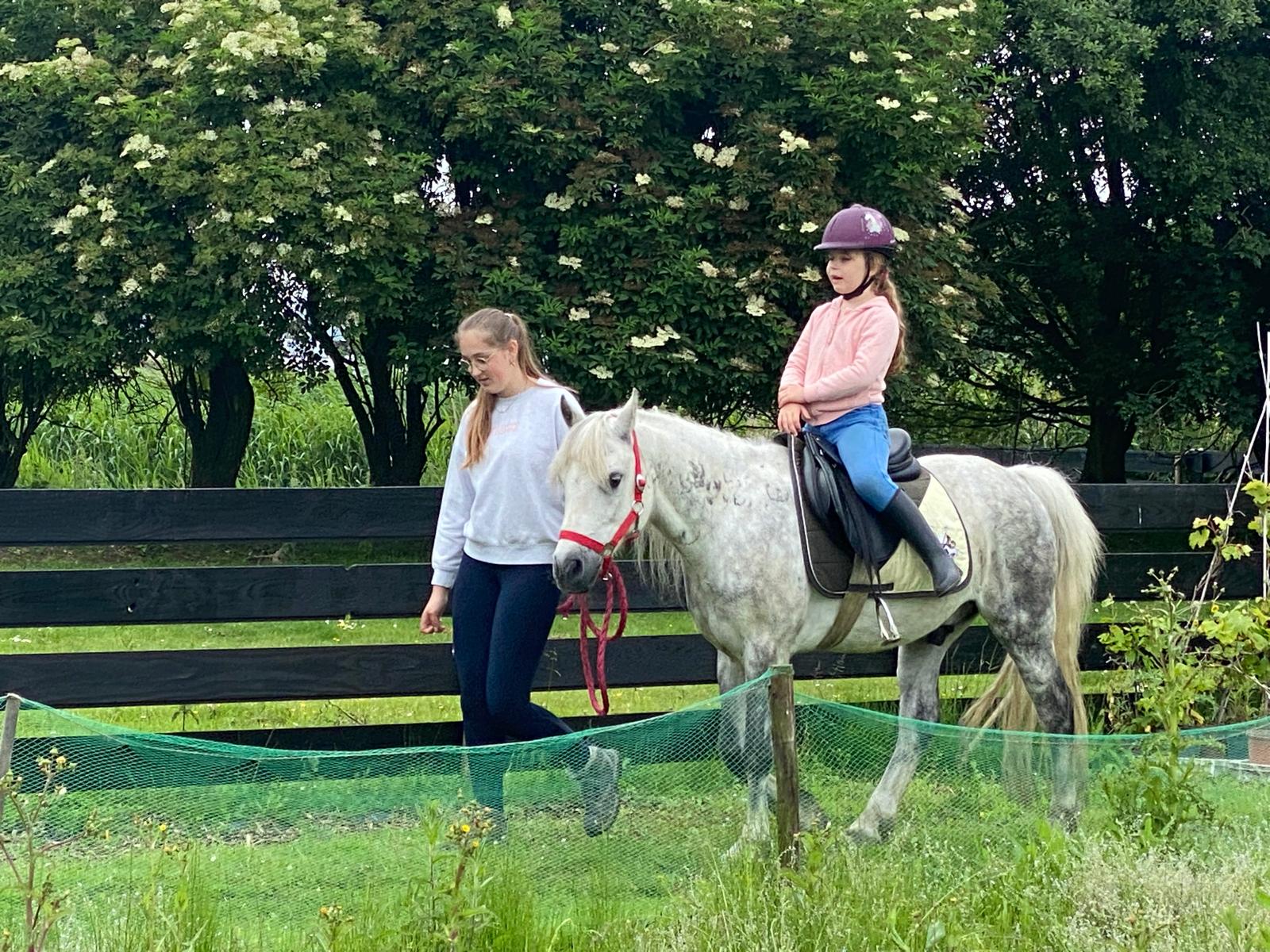 Kinderen konden een ritje maken over het terrein van de boerderij